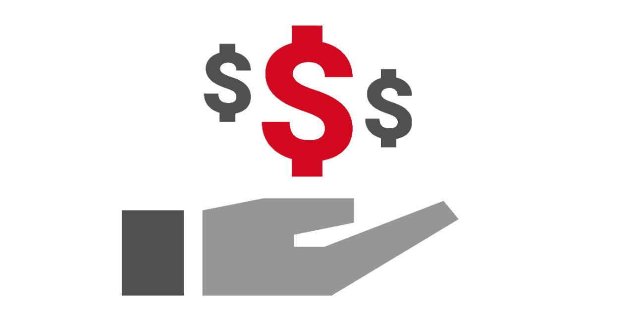 Symbol mit Hand- und Dollarzeichen, Bedeutung Budgetierungsprozess