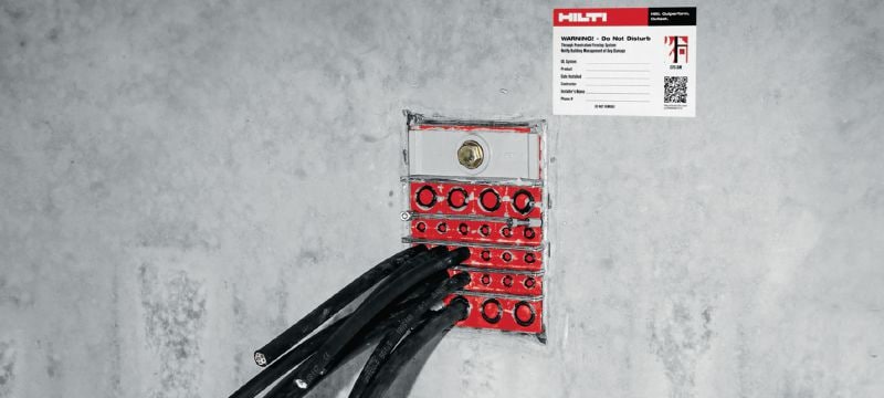 Ankerplattensets CFS-T Ankerplattensets zum Sichern von Kabelmodulen innerhalb eines Durchführungsrahmens und zur Erhöhung der Druckdichtigkeit Anwendungen 1