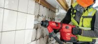 TE-Y TI Fliesenmeißel Selbstschärfende SDS Max (TE-Y) Fliesenmeißel zum Abtragen von Oberflächen Anwendungen 1